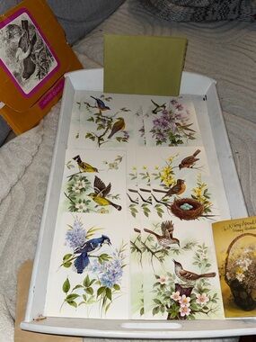 1971 11 Vintage Bird Illustration Note Cards - Assorted Floral Bird Prints